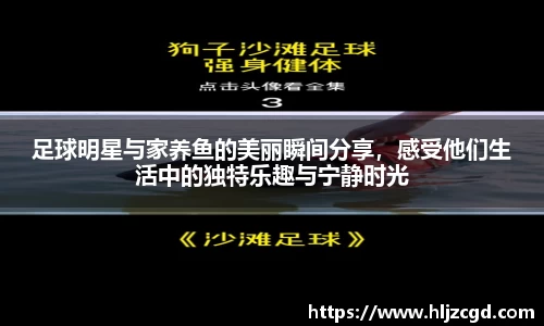 竞博JBO官网