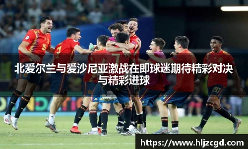 北爱尔兰与爱沙尼亚激战在即球迷期待精彩对决与精彩进球